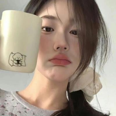 完美伴侣2025